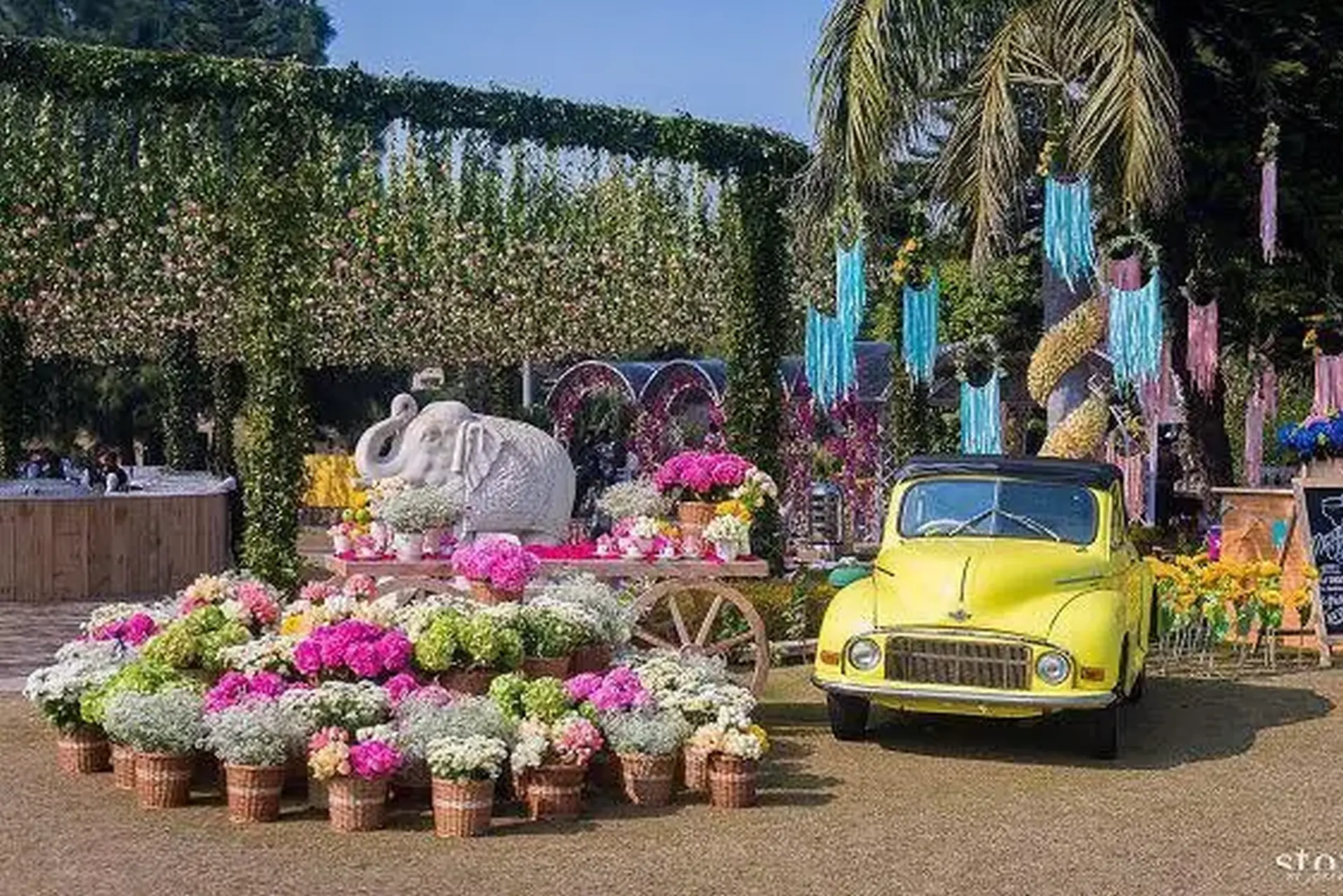 Wedding Planner in Andheri West