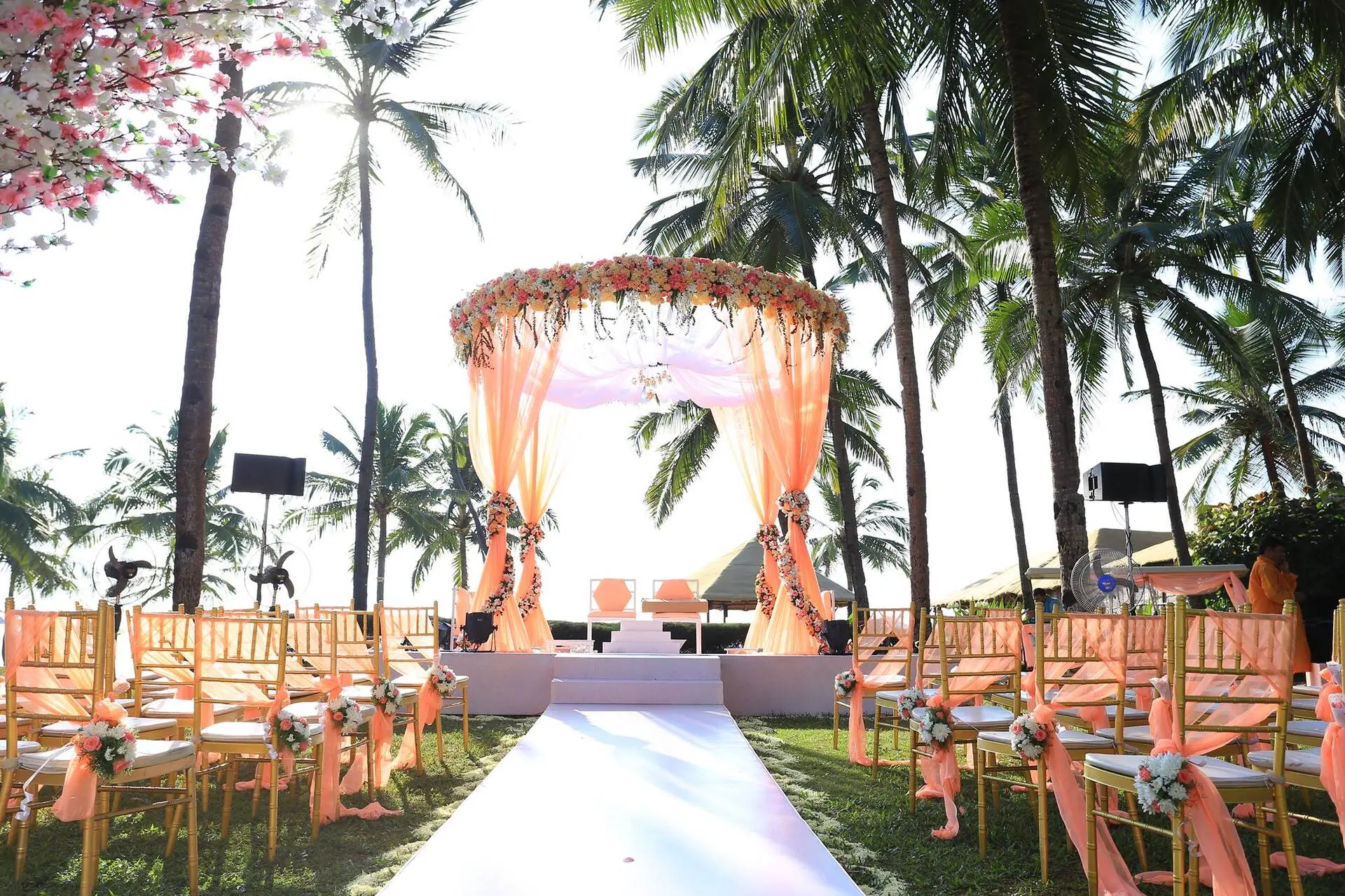 Best Wedding planners in Goa