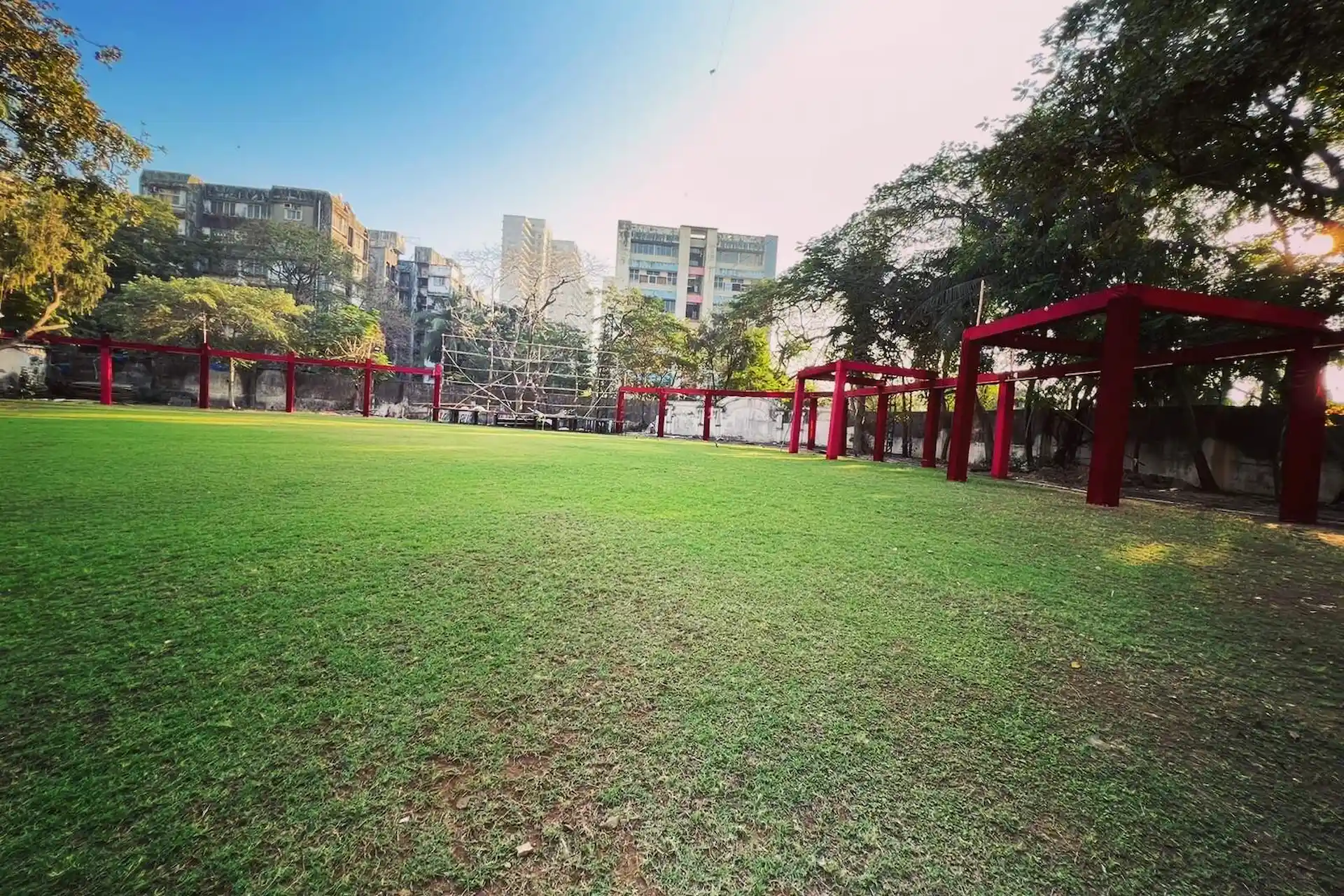 Country Club Springs  Lawn Area
