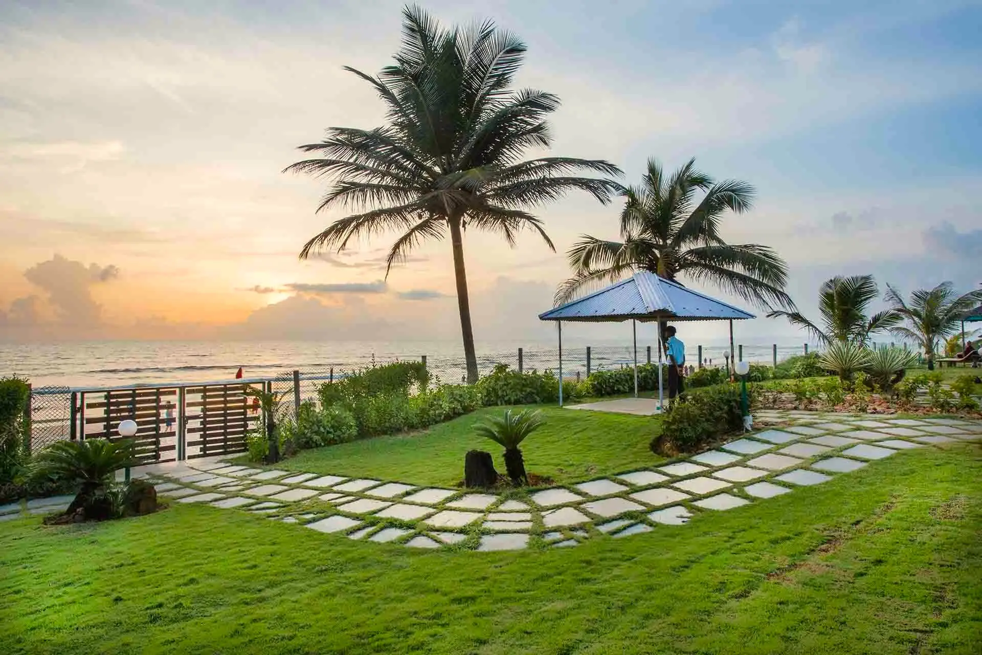 Lawn of The Beach House